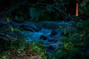 BIB: 
                            <button type="button" onclick="openModal(19308058)" class="btn btn-primary btn-sm float-right btn-popup" data-toggle="modal" data-target=".modal-high-quality">
                        <i class="fas fa-shopping-cart"></i> Add to Cart
                    </button>
                                            <button type="button" onclick="isThisMe(19308058, true)" class="btn btn-success btn-sm float-right btn-popup btn-isme hidden" data-toggle="tooltip" data-placement="bottom" title="นี่คือรูปของคุณใช่ไหม คลิกที่นี่เพื่อเอาเข้าอัลบั้ม">
                        <i class="fas fa-plus"></i> Add to album
                    </button>
                    <button type="button" onclick="isThisMe(19308058, false)" class="btn btn-warning btn-sm float-right btn-popup btn-isnotme hidden">
                        <i class="fas fa-ban"></i> Remove from album
                    </button>